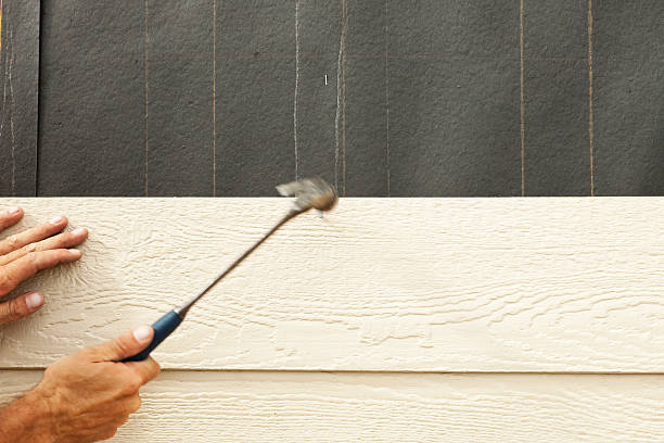 Best Siding Painting and Refinishing  in Pace, FL